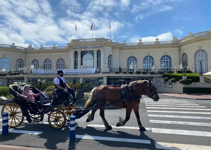 Le Gogh - Yourhosthelper