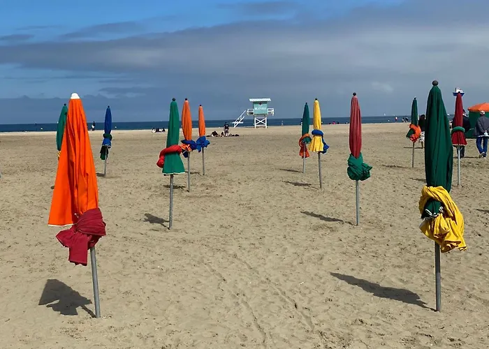 Le Gogh - Yourhosthelper Deauville